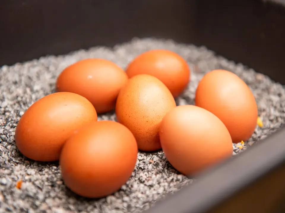 Hard-boiled eggs at the breakfast buffet in the Vista Restaurant.