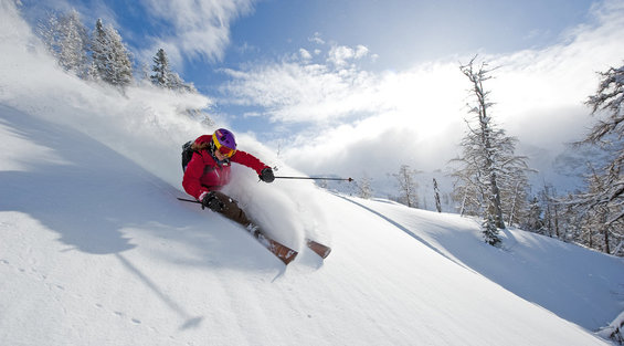 Freeride at Nassfeld in Carinthia during your vacation at Hotel Garni Zerza