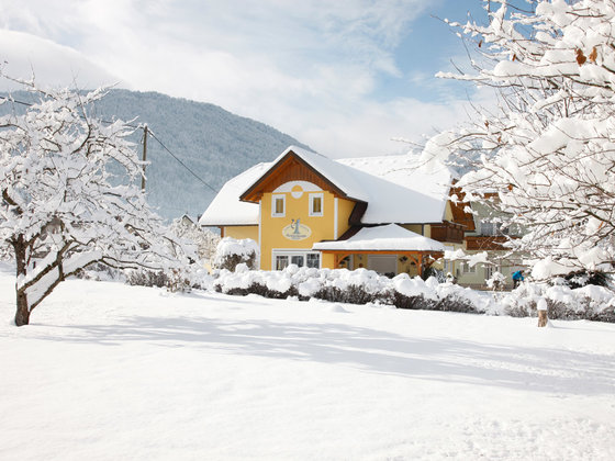 Winter at the Zerza Bed and Breakfast in Carinthia