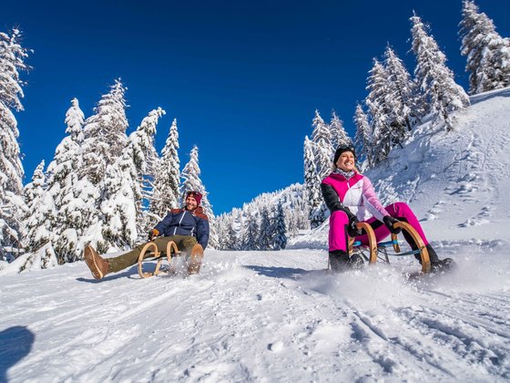 Sledding on the slopes in Carinthia (c) Peter Maier - nassfeld.at.