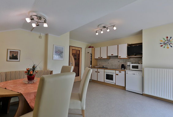Talbahn apartment no. 3 Kitchen