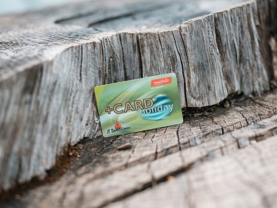 +CARD holiday (c) Martin Hoffmann - nassfeld.at.