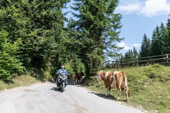 3 countries tour by motorcycle (c) Peter Wahl