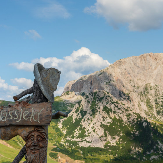 Wooden sign with the inscription "Nassfeld" (c) TineFoto - nassfeld.at.