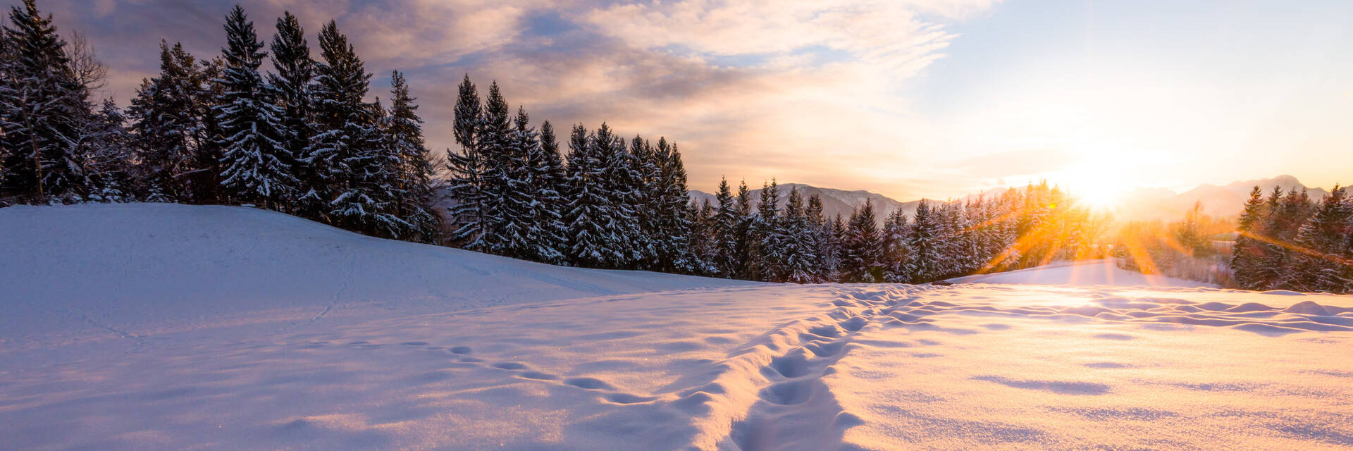 Winter Landscape at Nassfeld
